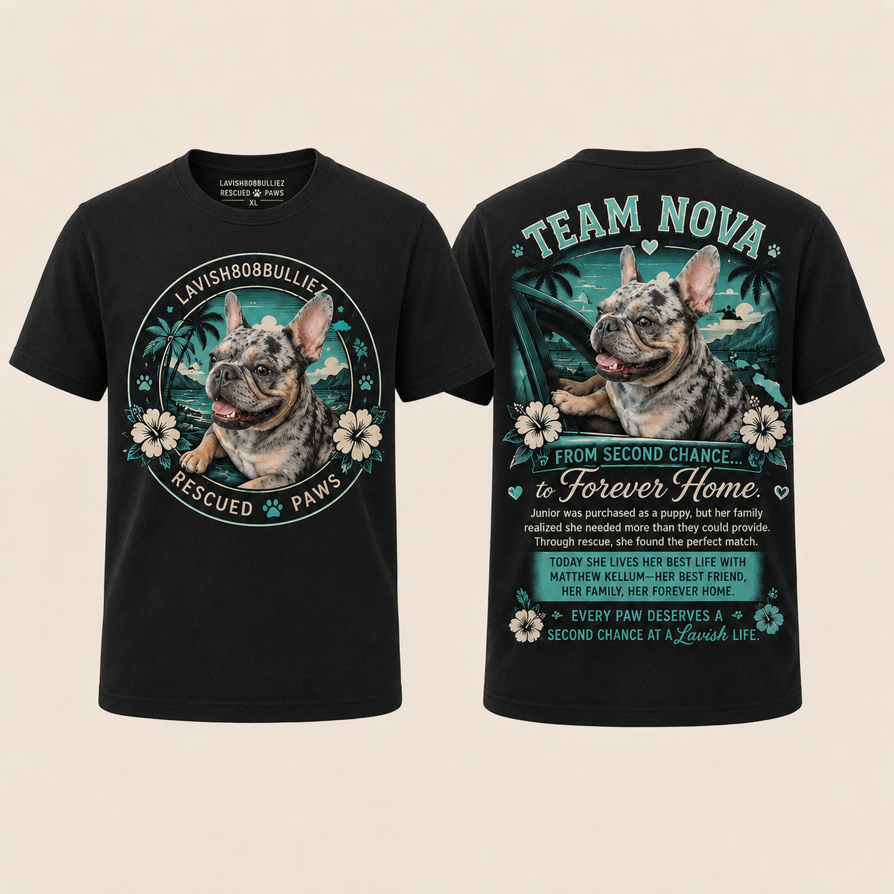Team Nova collection